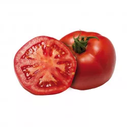 Tomate ELVIRADO F1 ronde - Non traité - Les Toqués