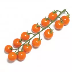 Tomate HONEYCOMB F1 cerise ronde orange - Non traité - Les Toqués