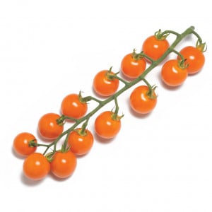 Tomate HONEYCOMB F1 cerise ronde orange - Non traité - Les Toqués