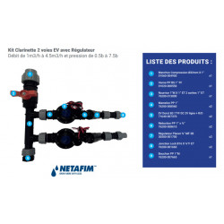 Kit Clarinette Netafim 2 voies EV avec régulateur