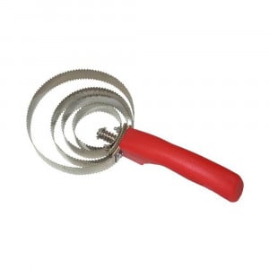 Etrille américaine Lacmé Passional