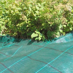 Toile de paillage verte 130 gr Lonodis Pro haute résistance - 3,30 x 50 m