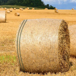 Filet à Balle Ronde SILAGRI PREMIUM HD Haute Qualité longueur 3000m