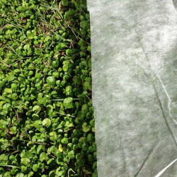 Voile hivernage ou forçage, 17 gr/m², non tissé blanc, Lonodis PRO, rouleau 1500 m, plusieurs largeurs