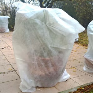 Voile hivernage ou forçage, 30 gr/m², non tissé blanc, Lonodis, rouleaux 100 et 250 m, spécial pépinière