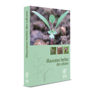 Mauvaises herbes des cultures