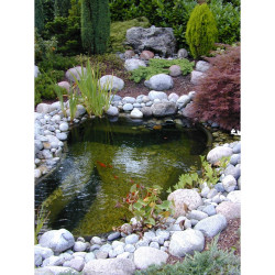 Bassin Calmus SIII Ubbink