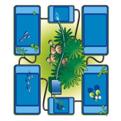 Bassin Quadra C1 Ubbink