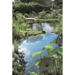 Bassin Océan II Ubbink