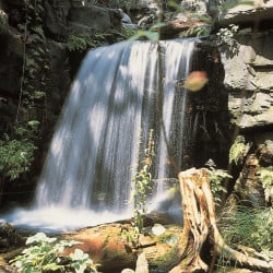 Colorado Cascade Ubbink - HDPE, gris-brun - H36,5 x 51 x 88,5 cm