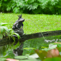 Gargouille Reine grenouille Ubbink - H27 x 19 x 20 cm