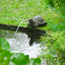 Gargouille Tortue Ubbink - H14 x 21 x 18 cm