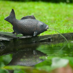 Gargouille Poisson XL Ubbink - H19 x 35 x 14 cm