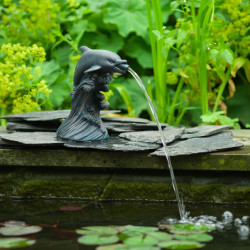 Gargouille Dauphin Ubbink - Ø9-13 mm - H18 cm