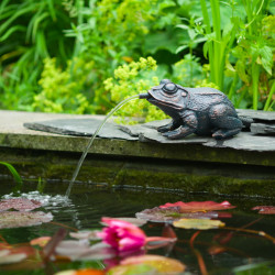 Gargouille Grenouille M Ubbink- Ø9-13 mm - H12 cm