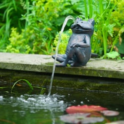 Gargouille Grenouille L Ubbink - Ø9-13 mm - H20,5 cm