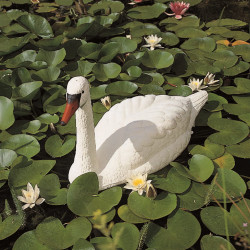 Cygne Ubbink - H 54,5 cm