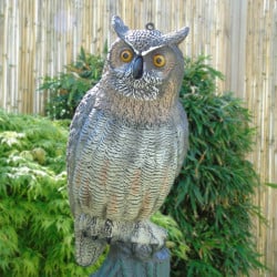 Hibou Ubbink - H 59 cm