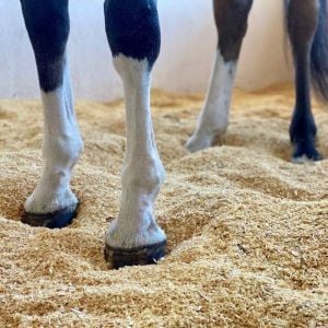 Litière copeaux de bois pour chevaux Zen'lit PRO - 500 litres soit 15 kg