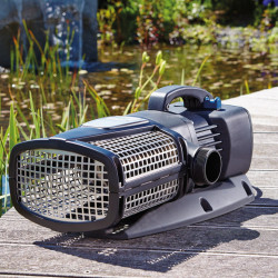 Pompe de bassin AquaMax Eco Expert 36000 - 220/240 V Oase