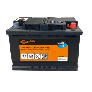 Batterie Premium plomb/acide 12V/65Ah - 242 x 175 x 190 Gallagher