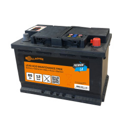 Batterie Premium plomb/acide 12V/65Ah - 242 x 175 x 190 Gallagher