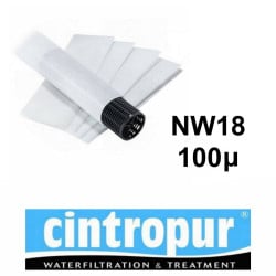 Tamis filtrant C-100 Calpeda pour filtre domestique NW 18 - Filtration 100µ (sachet 5 pièces)