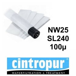 Tamis filtrant C0-100 Calpeda pour filtre domestique NW25 et SL240 - Filtration 100µ (sachet 5 pièces)