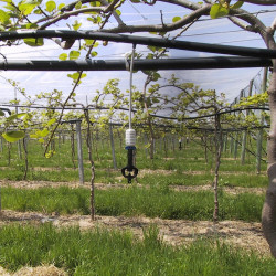 Micro-asperseur SUPERNET NETAFIM 40 l/h tête en bas courte portée