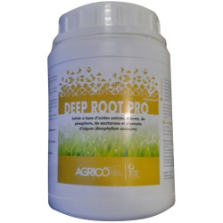 Biostimulant soluble Deep Root stimulateur de racines, boîte 500 g