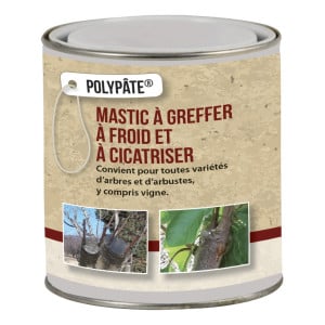 Mastic Polypâte polyvalent à greffer et à cicatriser