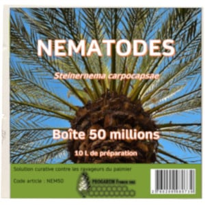 Nématodes contre les ravageurs des palmiers