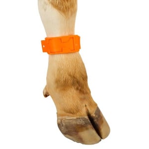 Bracelet de marquage orange 37 cm Kerbl