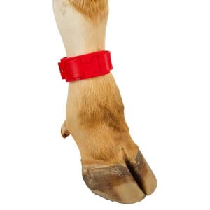 Bracelet de marquage rouge 37 cm Kerbl