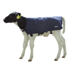 Couverture pour veaux EasyWear bleu foncé Kerbl
