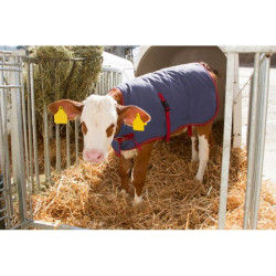 Couverture pour veaux ThermoPlus bleu foncé Kerbl