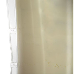 Drench Bag transparent avec sonde et fermeture éclair Kerbl