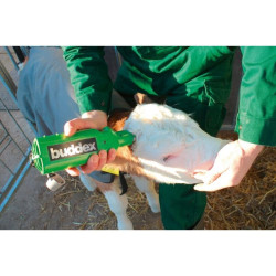 Ecorneur rechargeable Buddex avec embout 18 mm Kerbl