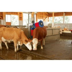 Brosse à vaches 370 W HappyCow Duo