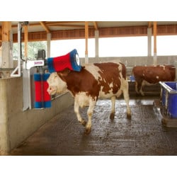 Brosse à vaches 370 W HappyCow Duo