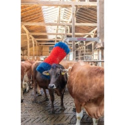 Brosse à vaches maxi HappyCow Free