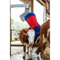 Brosse à vaches 550 W HappyCow MaxiSwing