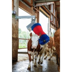Brosse à vaches 550 W HappyCow MaxiSwing