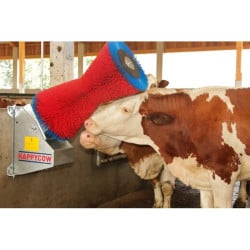 Brosse à vaches en polypropylène 370 W HappyCow Uno