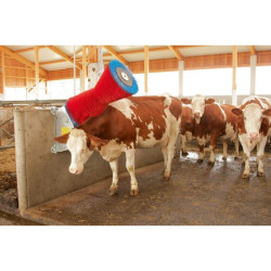Brosse à vaches en polypropylène 370 W HappyCow Uno