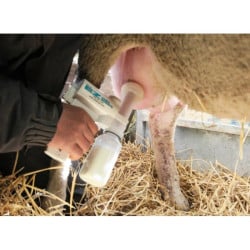 Kit pompe à lait de brebis Kerbl