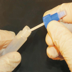 Test diarrhée pour bovins et veaux - 5 pièces Kerbl