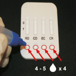 Test diarrhée pour bovins et veaux - 5 pièces Kerbl