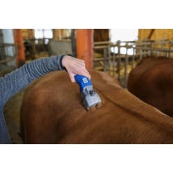 Tondeuse sur batterie pour bovins Econom CL bleu - 1 batterie Aesculap
