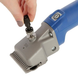 Tondeuse sur batterie pour bovins Econom CL bleu - 1 batterie Aesculap